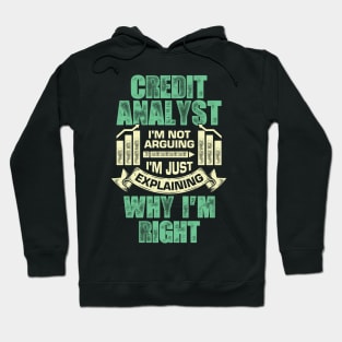 Funny Credit Analyst Gift Hoodie